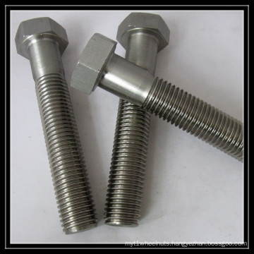 Stainless Steel Hex Screw